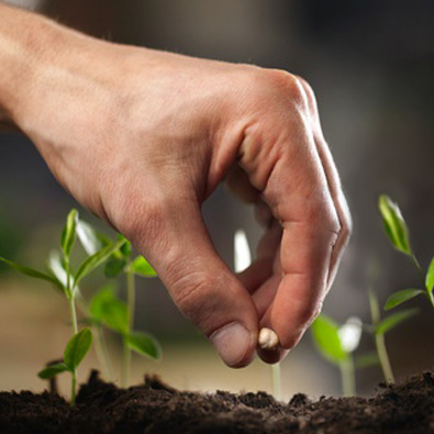 agriculteur plantant une graine biologique