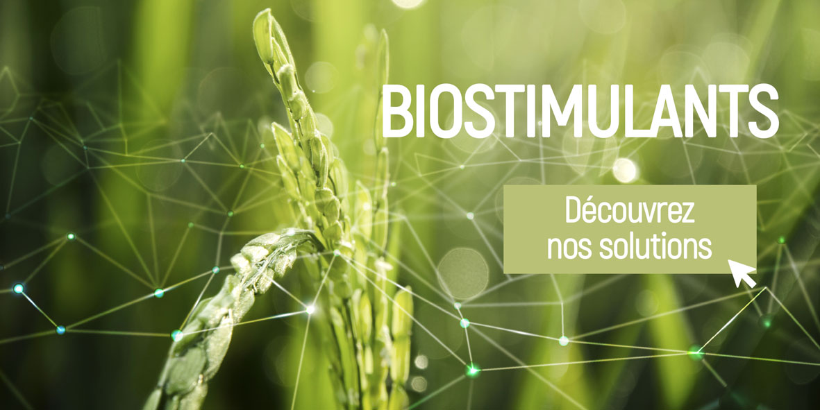 Biostimulant par VITALTeR