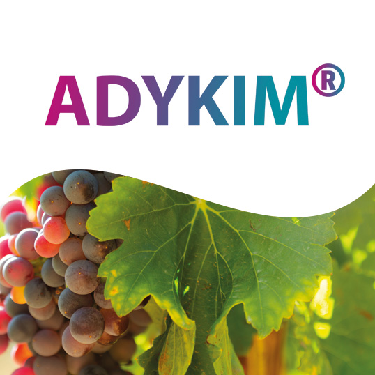 image du biostimulant Adykim