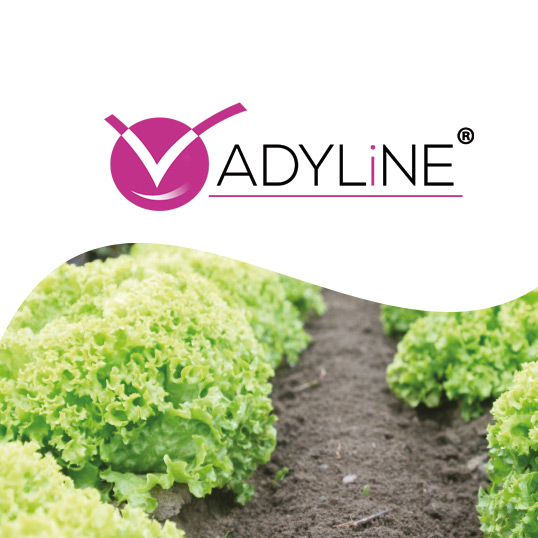 image du biostimulant ADYLiNE®