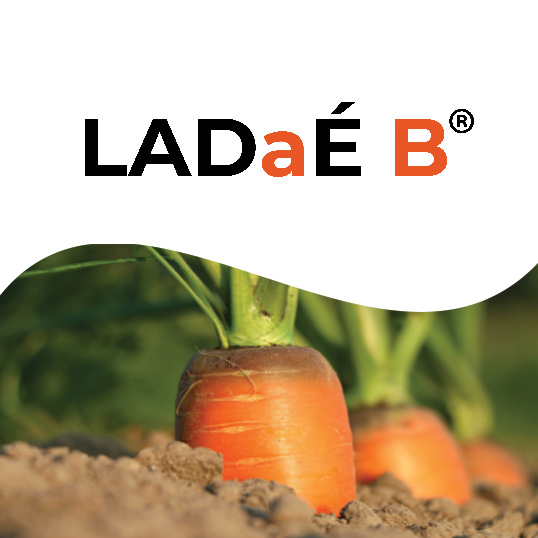 image du biostimulant LADaÉ B