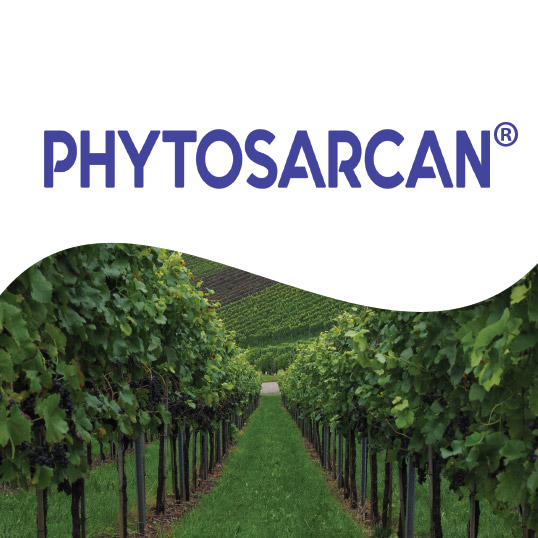 image du biostimulant phytosarcan