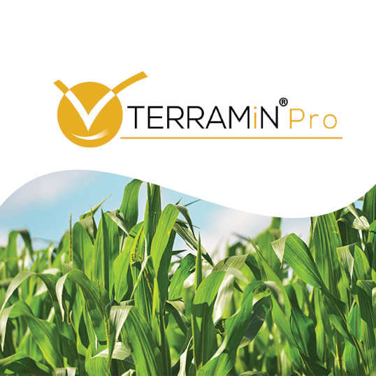 image du biostimulant TERRAMiN Pro