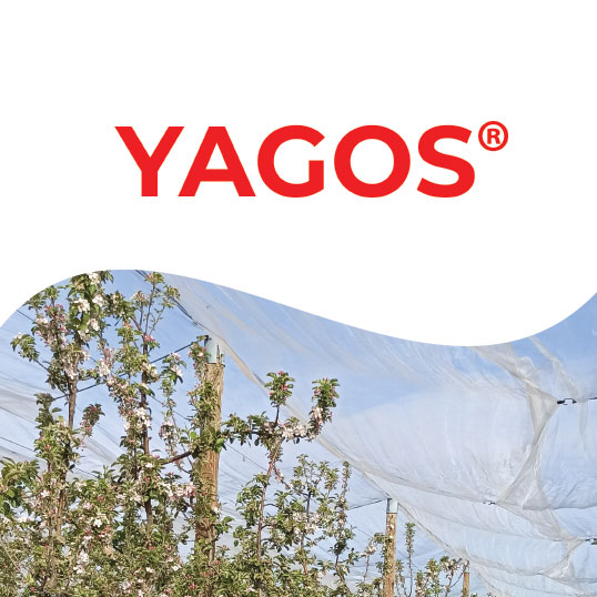 image du biostimulant YAGOS